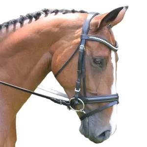 BLACK OAK Magnolia Dressage Bridle