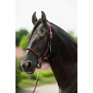 HKM Headcollar - Carlotta Woven Nylon