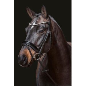 HKM Bridle - Fleur Black