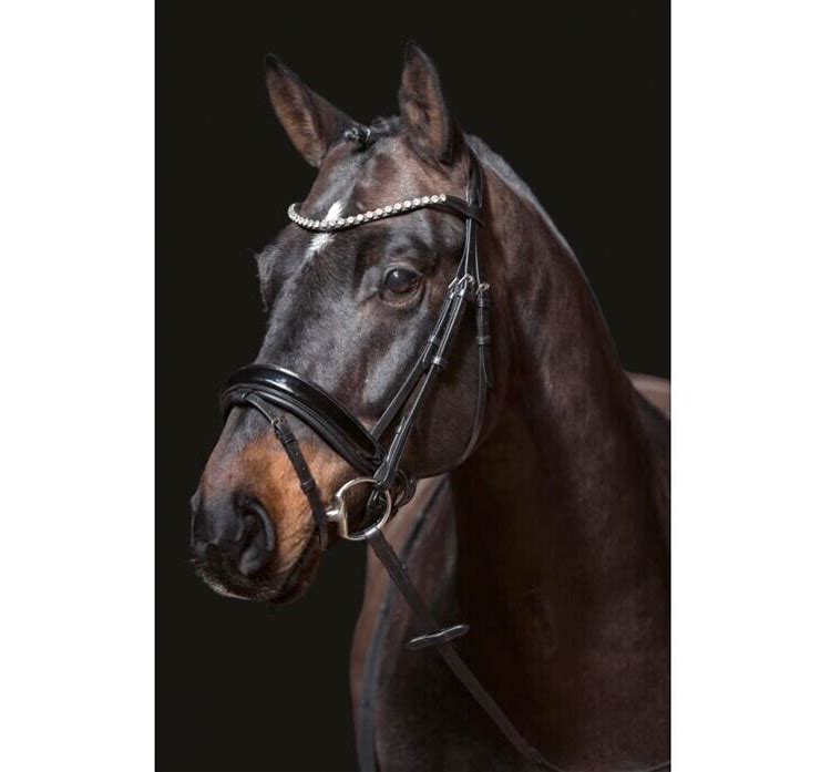 HKM Fleur Bridle